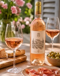 Outdoor illustration of a rosé wine bottle and glasses with food